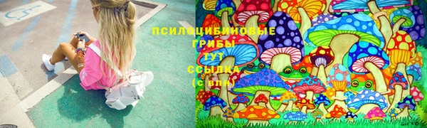 дмт Балахна